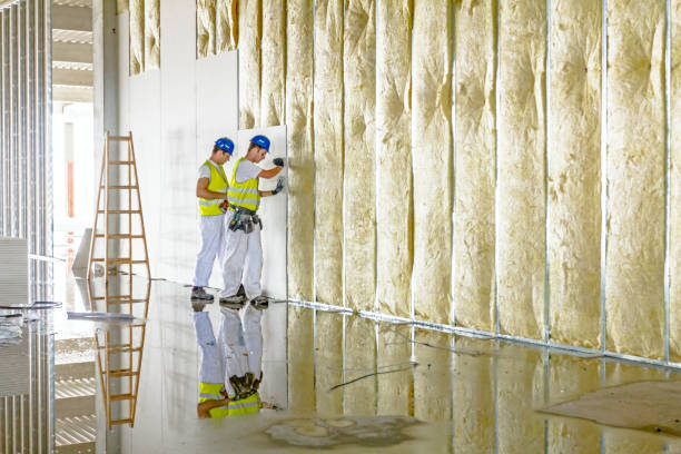 Best Energy Efficiency Solutions in Myrtle Grove, NC
